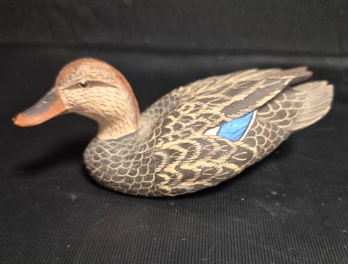 Nature window hen mallard - nature's,