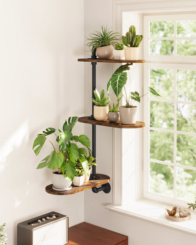 Bamworld window plant - window,
