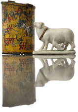 INDIAN COW WELFARE DONATION