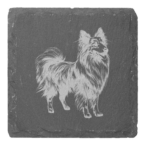 Shetland sheepdog slate - x,
