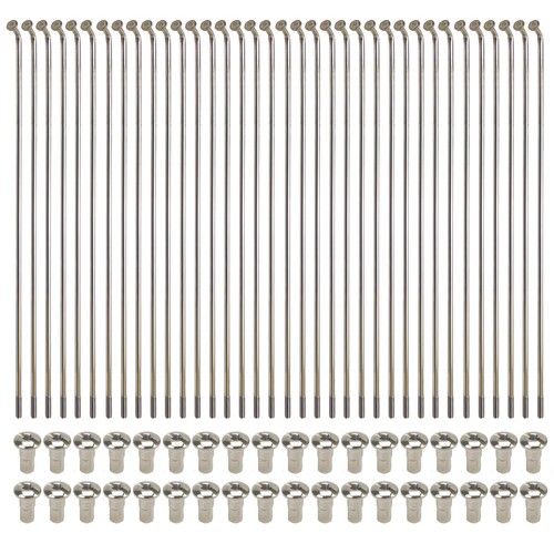Front spoke set 36 - set,