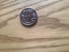 England Squad 1998 World Cup - Paul Ince Medallion 