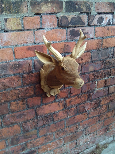 49cm 35cm brown wood mounted - x,