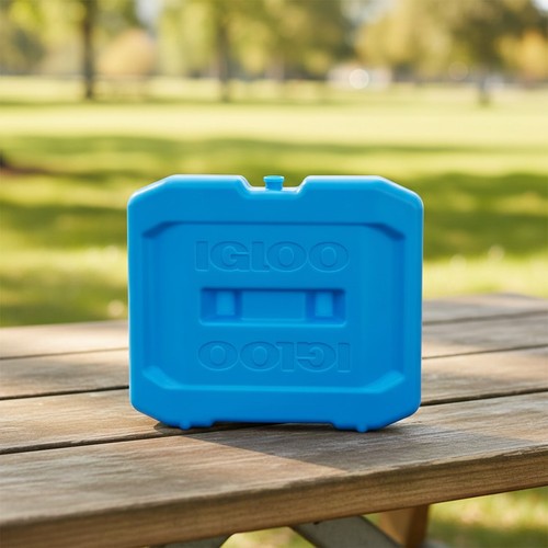 Igloo maxcold ice block - igloo,