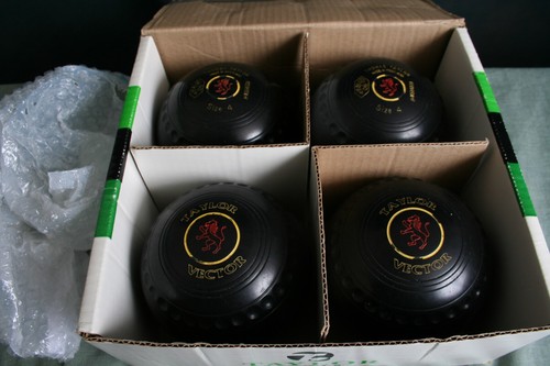 Taylor vector size bowls - vector, 4