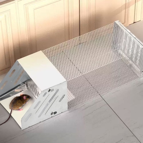 Rat trap heavy - rat, metal