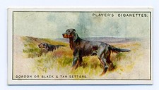 GORDON SETTER PLAYERS 1925 ISSUE SCENIC SERIES OLD DOG CIGARETTE CARD  #30