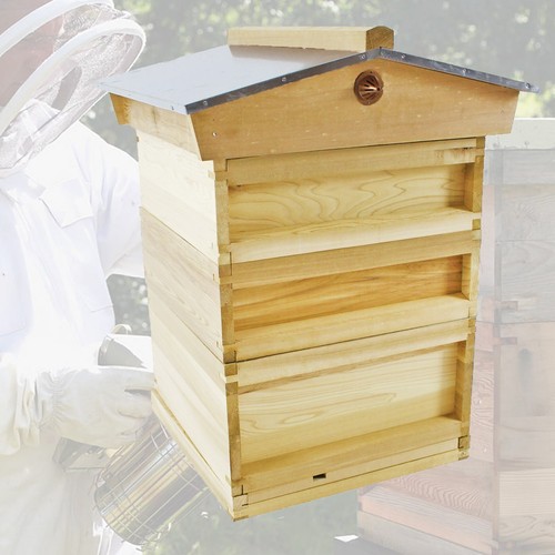 National bee hive - national,