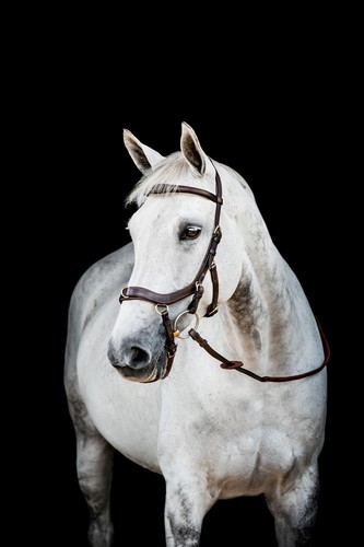 Horseware micklem multi - horseware,
