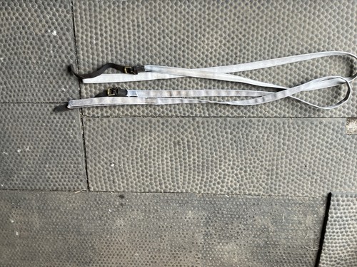 White showing leading lead - white, showing/leading