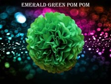 Emerald Green Tissue Pom Poms Paper Wedding Birthday Party Decorations pompoms
