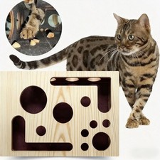 Cat Scratch Puzzle Enrichment