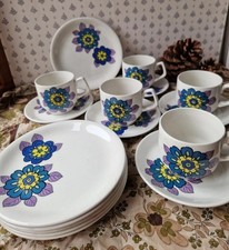16pc Vintage Wood & Sons Tea Coffee Set Curacao Retro 60s 70s Floral Rare