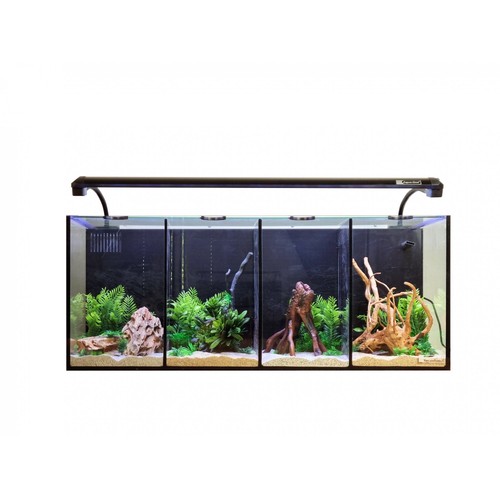 Aqua one betta quad - one,
