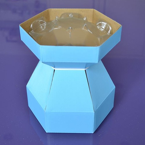 Cupcake gift box individual - gift,