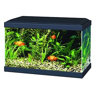 Ciano aqua aquarium - 20,