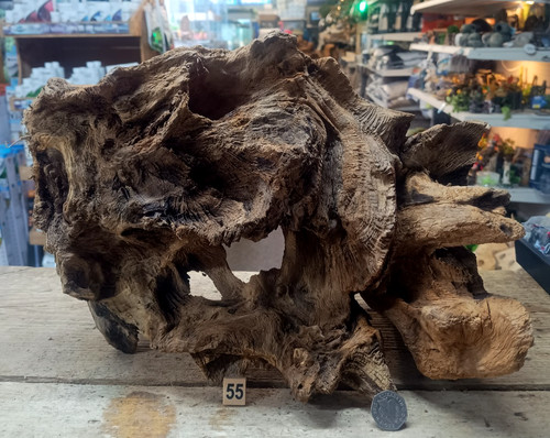 Derwen oak bogwood - derwen,