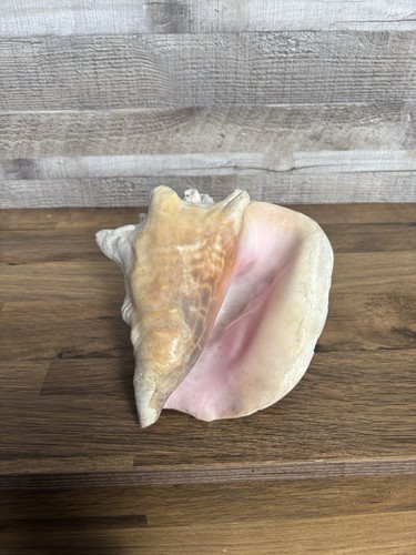 Medium natural 4kg - medium, 2.4kg