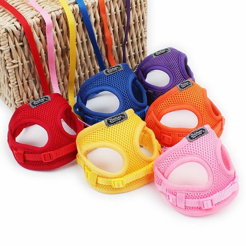 Tiny dogs harness lead set - tiny,