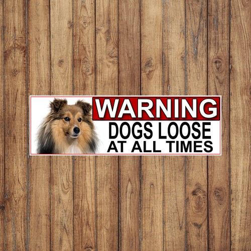 Shetland sheep dog - sheep, warning