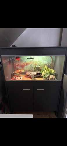 Vivarium reptile black - vivarium,