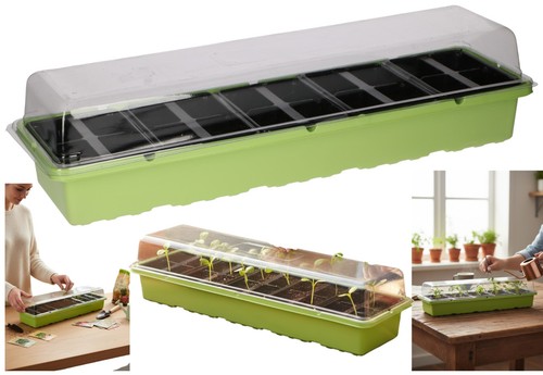 Garden growing pots seed - growing,