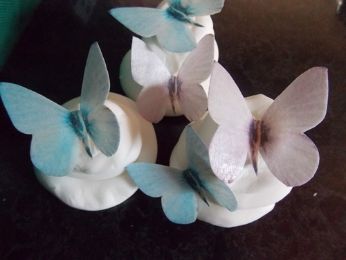 Precut lilac blue - lilac, &