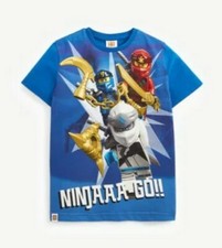 Boys Age 3 Year's Next Lego