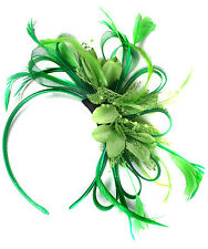 Customised Feather Hair