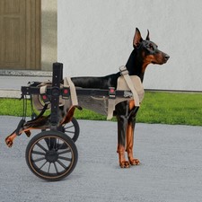Large Dog Wheelchair, 2 Wheel