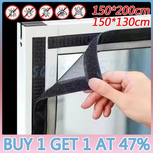 Window fly screen insect - window,