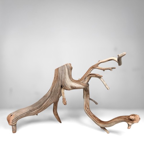 Manzanita driftwood branch - manzanita,