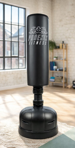 Phoenix fitness free standing - phoenix,