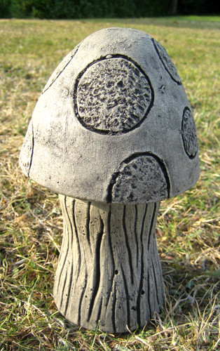 Small mushroom toadstool - small,
