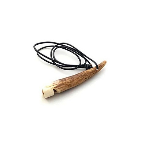 Stag antler horn - antler, dog