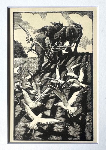 Vintage wood engraving - ,