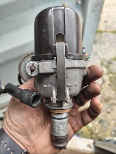 Austin mini mk1 distributor - austin,