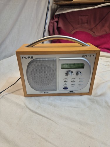 Pure evoke dab digital - pure, evoke-1
