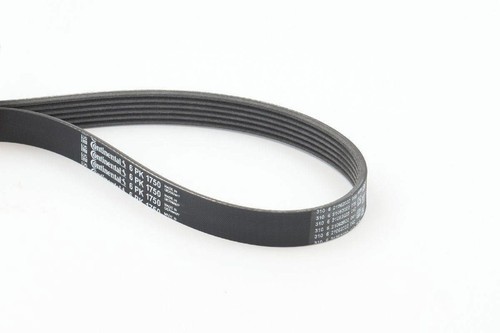 Ribbed belt contitech fits - belt,