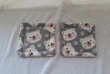 Two Guinea pig /Small animal