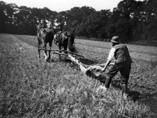Man working wooden plough