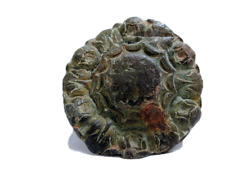 Buckle Fragment India very old