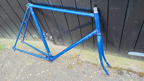 Raleigh triathlon road bike - raleigh,
