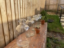 6 Lovely Mint Condition