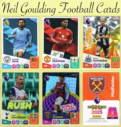 Panini adrenalyn 2024 25 - panini,