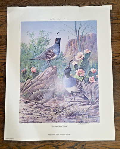 80s quail unlimited james - 80s,
