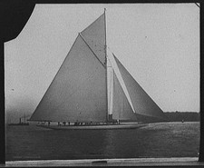 Shamrock II,yachts,water