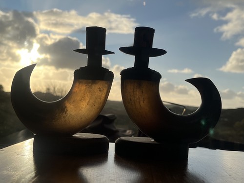 Vintage pair sheep horn - vintage,