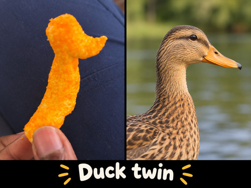 Duck shaped cheeto rare - cheeto, funny