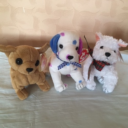 Vintage beanie babies - beanie,